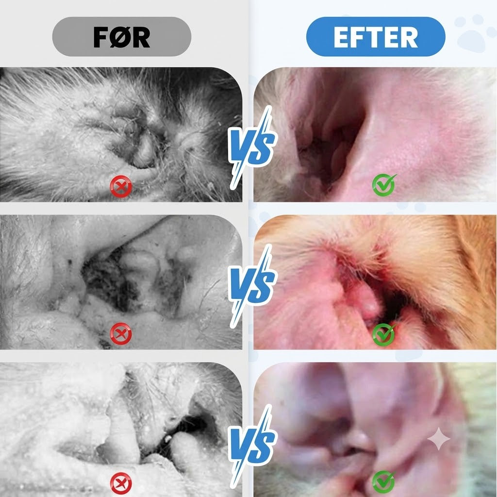 Ørerens til Hunde og Katte | Skånsom & Effektiv Ørepleje
