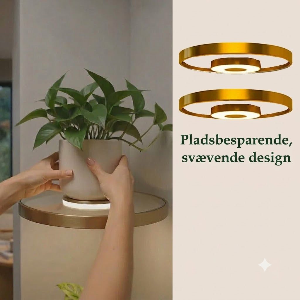 LumiShelf™ Svævende Væghylde med LED-Belysning | Moderne Plante- & Udstillingshylde