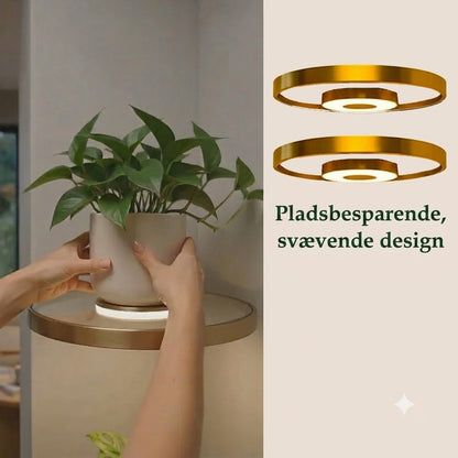 LumiShelf™ Svævende Væghylde med LED-Belysning | Moderne Plante- & Udstillingshylde