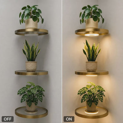 LumiShelf™ Svævende Væghylde med LED-Belysning | Moderne Plante- & Udstillingshylde